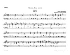 Motet No.5 Komm, Jesu, komm (BWV 229) (Organ)