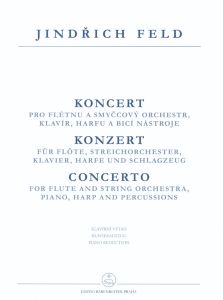 Flute Concerto (Flute & Piano)