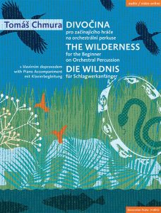 The Wilderness for the Beginner on Orchestral Percussion